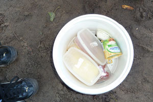 Blick auf Lebensmittel in der offenen Kunststofftonne - dem Erdkühlschrank